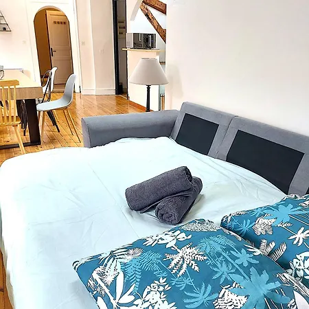 Apartment Le Grand Verdun - Charme Et Lumiere - 3 8 Personnes Pau
